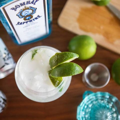 Gin and tonic with ingredients