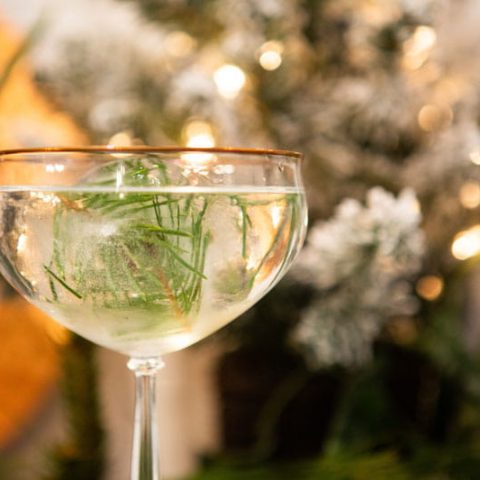 Pine Gin and Tonic